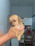 Moly