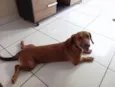 Meggie