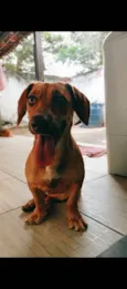 Meggie
