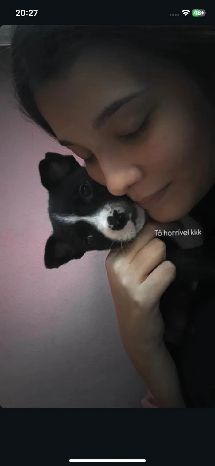 Cachorro ra a SRD-ViraLata idade 7 a 11 meses nome Chanel