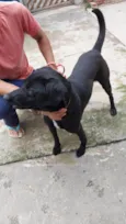 Negão