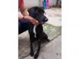 Negão