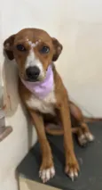 Lola