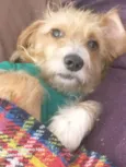 Caramela