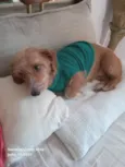 Caramela