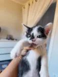 Tom