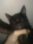 Marley