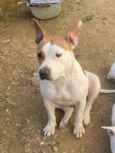 Nina