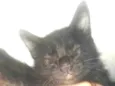 Marley