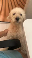 Tobby