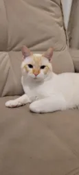 Frederico
