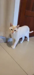 Frederico
