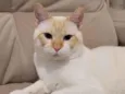 Frederico