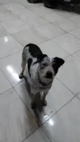 princesa