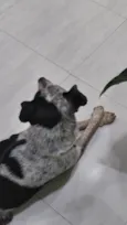 princesa