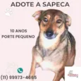 Sapeca