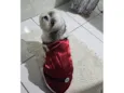 Tobby