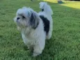 Tobby