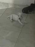 Ainda está sem nome
