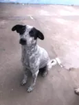 Dora