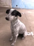 Dora