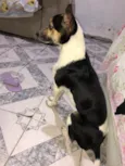 Bob