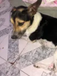 Bob