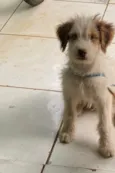 Fred