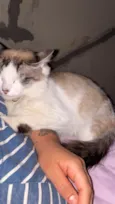 Clarice 