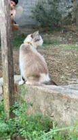 Clarice 