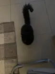 99