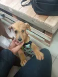 Samantha