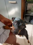 Vitória e deolane