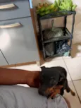 Vitória e deolane