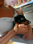 Vitória e deolane