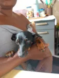 Vitória e deolane