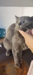 Sturty