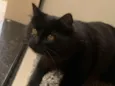99