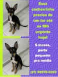 Belinha