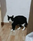 Salem 