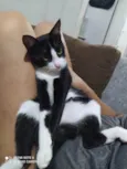 Salem 