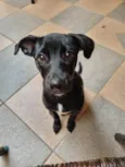 Lua