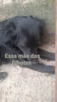 Doações 