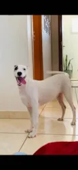 SKYE