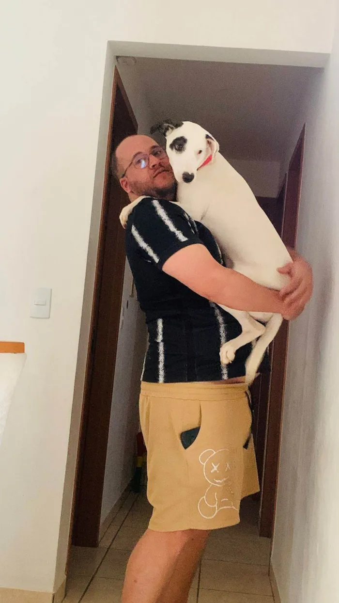 Cachorro ra a SRD-ViraLata idade 7 a 11 meses nome SKYE