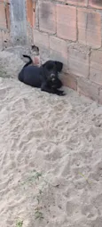 Não tem