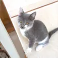 Umi bb2meses