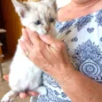 Tsuki bb2meses