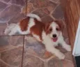 Atende por Billy