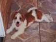 Atende por Billy